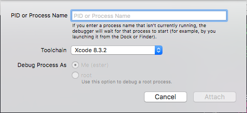 Attach to process popup