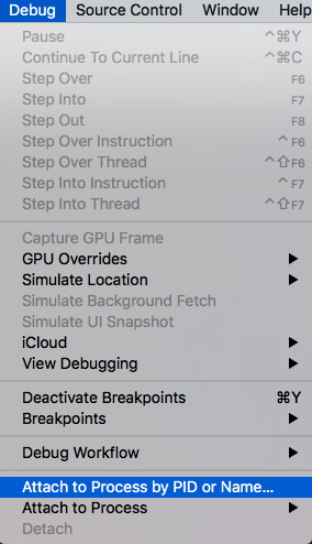 XCode debug menu
